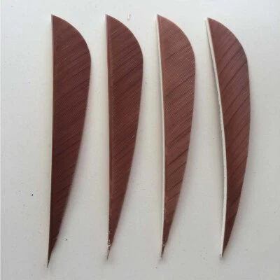 36pcs 4Inch Parabolic Vanes Fletches Fletching Feather RW - Image 1 of 4
