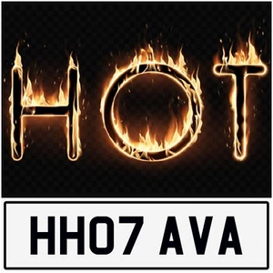 LO ÚLTIMO AVA AVAS AVRIL AVIAN AA REGISTRO PRIVADO PRECIADO MATRÍCULA HH07 AVA - Imagen 1 de 2