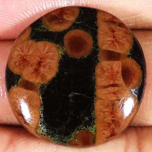 33.60 Cts Untreated Peanut Obsidian Round Cabochon Gemstone 26x00x6 mm HB132 - Picture 1 of 5