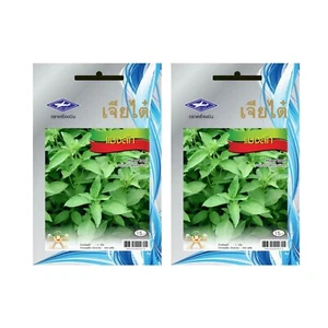Semillas de albahaca peluda El mejor jardín casero tailandés vegetal fresco asiático 2 piezas. - Imagen 1 de 4