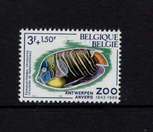 Bélgica 1968 PECES TROPICALES, PEZ ÁNGEL MNH SC B833 - Imagen 1 de 1