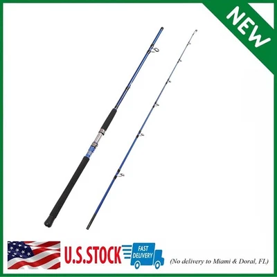 Medium Heavy Blue Fishing Rod Portable Solid Carbon Fiber Travel Design - Image 1 of 4