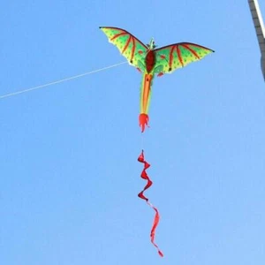 Dinosaur  - Large 3D Single Line  Giant Dragon  for Children and Adult with Long - Picture 1 of 5