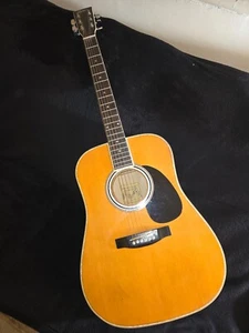 ESTEBAN American Legacy AL-100 Electric Acoustic Guitar With Case - Picture 1 of 8