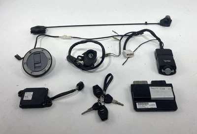 ♻️ Triumph Tiger 1050 Sport 2013 - 2016 Lock Set Alarm ECU 2 x Keys 2 x Fobs ♻️ - Image 1 of 4