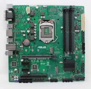 Placa base ASUS B365M-C CSM Intel B365 mATX Windows 11 Socket 1151 v2 (#30496) - Imagen 1 de 3