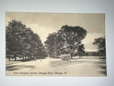 View Prospect Ave., Morgan Park, Chicago, Illinois ~ Rotograph Co NYC