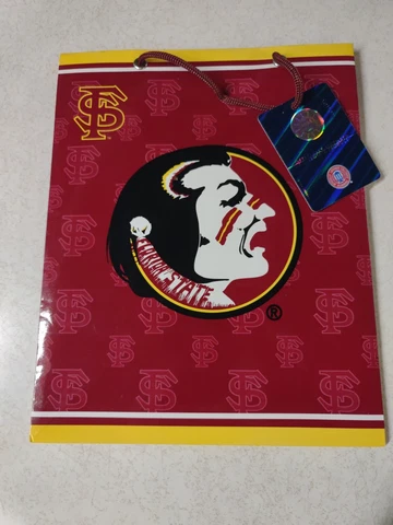 Officially Licensed Florida State Seminoles Team Logo Small Gift Bag 7.5"x9.5" Cover