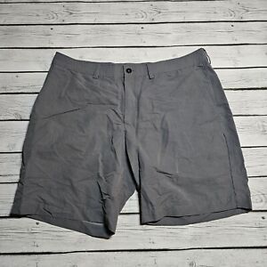 The North Face Shorts Mens 40 Gray Striped Chino Flat Front Zip Pocket Hiking