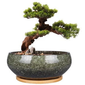 EPFamily 8 Inch Ceramic Bonsai Planter Pot Glazed Shallow Succulent Planter w... - Picture 1 of 5