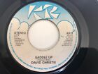 David Christie - Saddle Up 7" Vinyl Single Record
