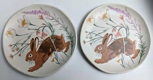 Set 2 Target Threshold Farmhouse Melamine Bunny Rabbit Easter Spring Plates - Picture 1 of 2