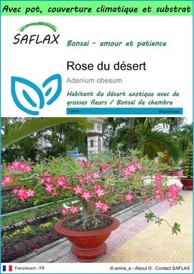 SAFLAX - Garden to go - Rose du désert - 8 Graines - Photo 1/4