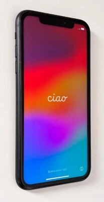 Apple iPhone XR  64GB Black in ottime condizioni estetiche e funzionali - Immagine 1 di 4