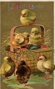 Easter chicks in a basket with Colored Eggs Vintage Postcard - Picture 1 of 2