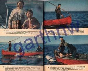 BELUGA GREAT WHITE WHALE HUNT 1944 PICTORIAL HUDSON BAY ROBERT BAGBY & NATIVES - Picture 1 of 2