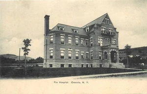 c1910 Oneonta New York Fox Hospital occupation roadside Postcard 25-6132 - Imagen 1 de 2