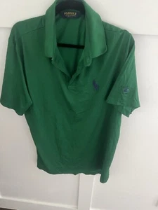 Green Ralph Lauren Polo Shirt Mens L Bellagio on Sleeve Pima Cotton  116/5 - Picture 1 of 3