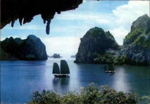 VIETNAM Postkarte Việt Nam Postcard 1983 mit Stempel Deutsche Post "Berlin 1020" - Picture 1 of 2