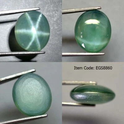 12.75 Ct 14x11.7 MM Emerald Green Star Sapphire 6 Rays Lab Corundum VDO EGS9802 - Image 1 of 4