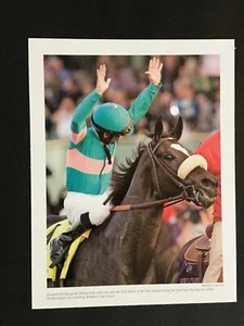ZENYATTA photo Horse Racing 2009 BREEDERS CUP CLASSIC - Picture 1 of 1