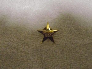 NA'AMAT USA PIN - Bild 1 von 2