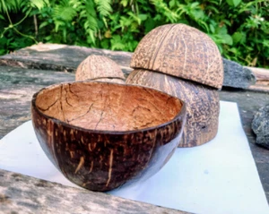 Coconut Shell Bowl Set Ceylon Natural 100% Eco Friendly Halves Organic Handmade - Picture 1 of 17