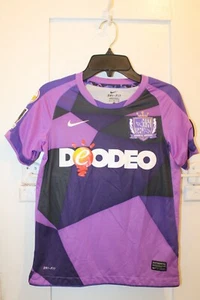 NIKE Sanfrecce Hiroshima J-League Soccer Home Jersey Kids YOUTH Small 2011 055 - Picture 1 of 12