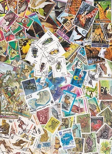 Y1017B - Collection 100 diff. stamps - Dieren / Animals / Tiere - Foto 1 di 1