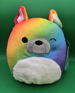 Squishmallows "Rhett" The Rainbow Dog , 8"  Plush NWT - Picture 1 of 4