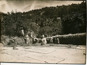MADAGASCAR c. 1920 - Paysans au Travail Afrique - AfP 93 - Picture 1 of 2