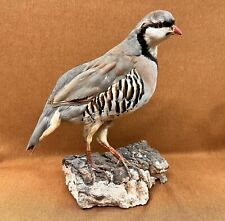 Vintage Taxidermy Chukar Partridge Grouse Pheasant Upland Game Bird Art Mount