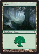 4x Forest (263) MTG Innistrad NM Magic Regular