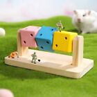 Funny Hamster Cube Toy Wood Hamster Chew Cube  for Teeth Grinding