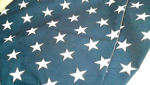 Set Of 2 Navy/Star Pillow Covers 17.5"x17.5" One Size Zip White Backing - Picture 1 of 4