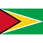 GUYANA COUNTRY FLAG | STICKER | DECAL | MULTIPLE STYLES TO CHOOSE FROM