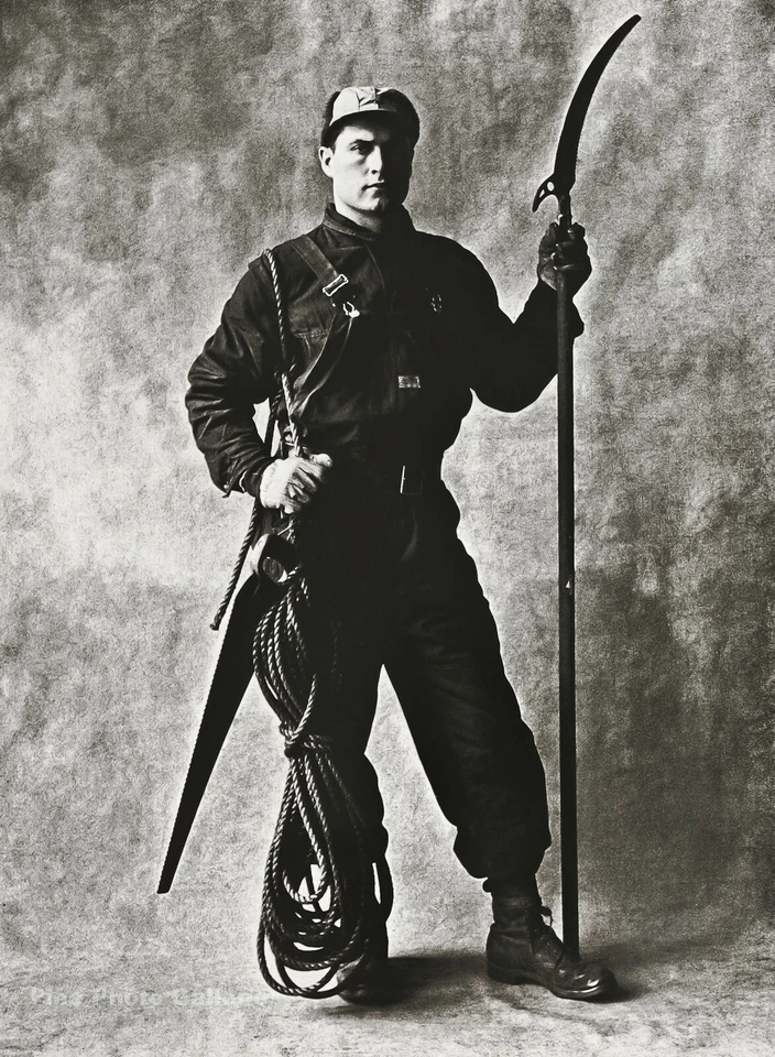 1951/84 复古 IRVING PENN 树修剪植物园丁纽约照片艺术 12x16 — 第 1/1 张图片