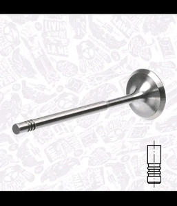 Intake Valve X4  VW SEAT SKODA 1.4 1.6 036109601S 036109601AD 036109601AK  - Picture 1 of 6