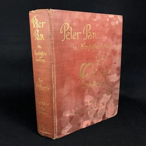 Peter Pan in Kensington Gardens ~ J.M. Barrie Arthur Rackham ~ 1906 1st Edition - Picture 1 of 21