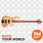 Esp Ltd B-204 Fretless B Series Bass Guitar 4-String Natural Satin Spalted B204