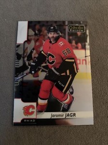 17-18 UD Opee Chee Platinum #120 Jaromir Jagr