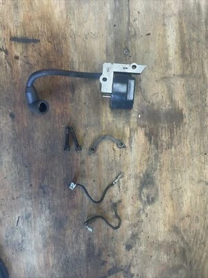 Bobina de encendido recortadora de cuerdas Weed Eater Featherlite XT200 FABRICANTE DE EQUIPOS ORIGINALES Foto 1 de 3