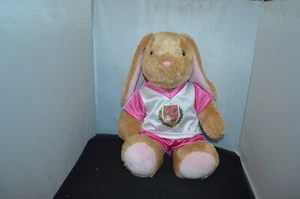 Build A Bear Workshop Bunny Rabbit 14 Inch Plush Brown Stuffed Animal Toy V2 - Picture 1 of 3