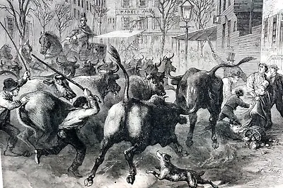 NYC Street Congestion Danger 1866 CATTLE DRIVE CROSSING Antique Engraving Print • 40€