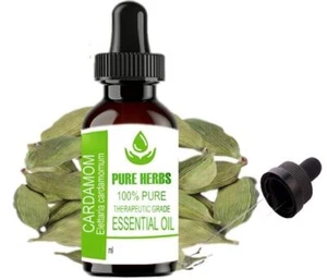 Pure Herbs Cardamom 100% Pure & Natural Elettaria Cardamomum Essential Oil - Picture 1 of 6