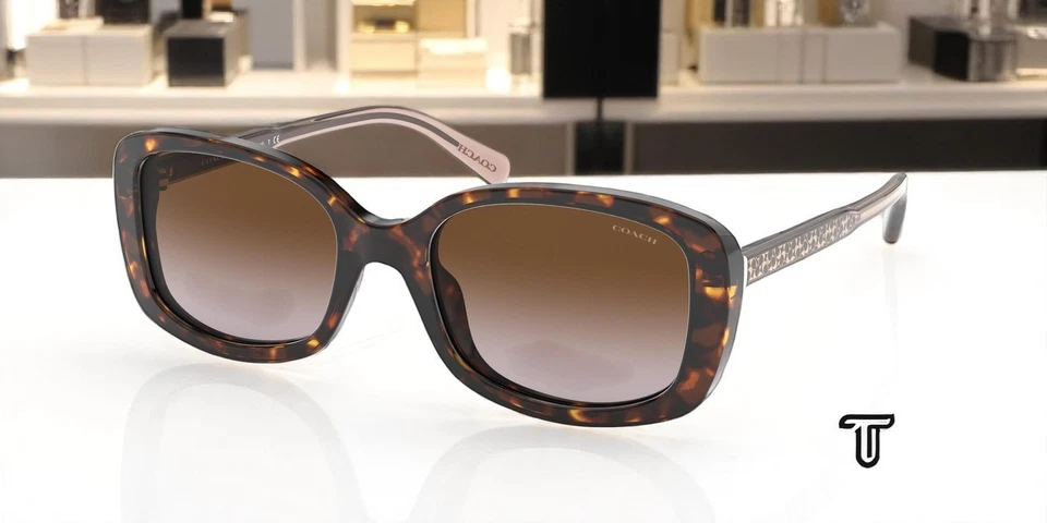 Coach Hc8278 512013 Dark Tortoise Brown Gradient 53 Mm Women's Sunglasses