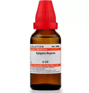 Dr Willmar Schwabe India Epigaea Repens 6 CH Dilution 30 ml u299 - Picture 1 of 5
