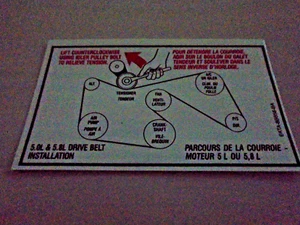 1988-89 Reproduction Ford Truck 5.0-5.8 Drive Belt Decal - Foto 1 di 1
