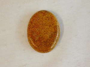 Fossil Palm Wood Cabochon - Bild 1 von 6