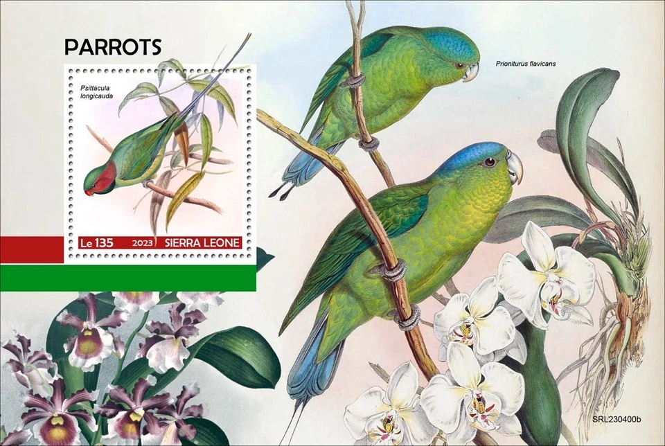 Estampillas de loros MNH 2023 Sierra Leona S/S Foto 1 de 1